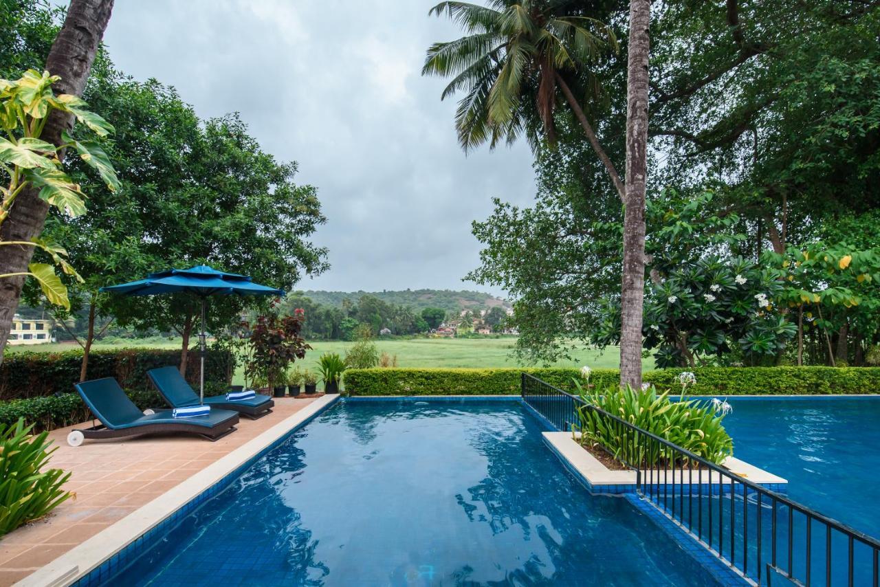 ノボテル ゴア リゾート&スパ アン アコーホテルズ ブランド カンドリム エクステリア 写真 The swimming pool at the resort